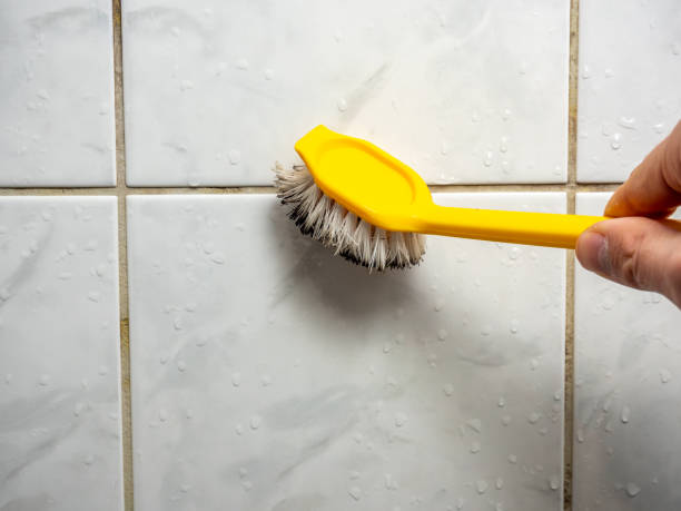 Best Black Mold Remediation in Ocilla, GA