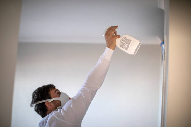 Best Attic Mold Remediation in Ocilla, GA