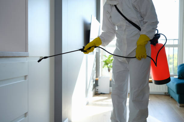 Best Residential Mold Remediation in Ocilla, GA